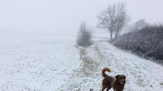 Seibelsdorf. Foto: Sabrina Feulner