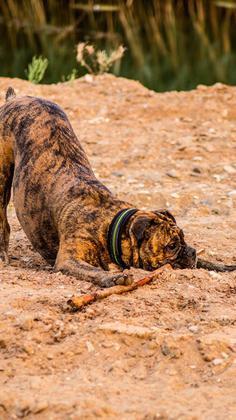 Foto: Hersh Le Roy