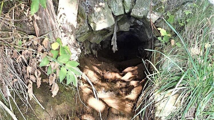 Die Rösche mündet bei der Wolfersdorfer Brücke in die Haßlach. Trotz monatelanger Trockenheit versorgt dieser Zulauf den Haßlachfluss sekündlich noch mit fünf Liter Wasser aus dem Stollen.