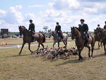Nicht nur ein Fest der Pferde, sondern durch das Rahmenprogramm am Sonntag auch ein Fest für jedermann, war die Bayerische Meisterschaft für Einspänner und Ponyeinspänner in Klebheim. Fotos: Roland Meister