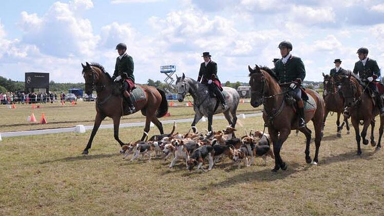 Nicht nur ein Fest der Pferde, sondern durch das Rahmenprogramm am Sonntag auch ein Fest für jedermann, war die Bayerische Meisterschaft für Einspänner und Ponyeinspänner in Klebheim. Fotos: Roland Meister