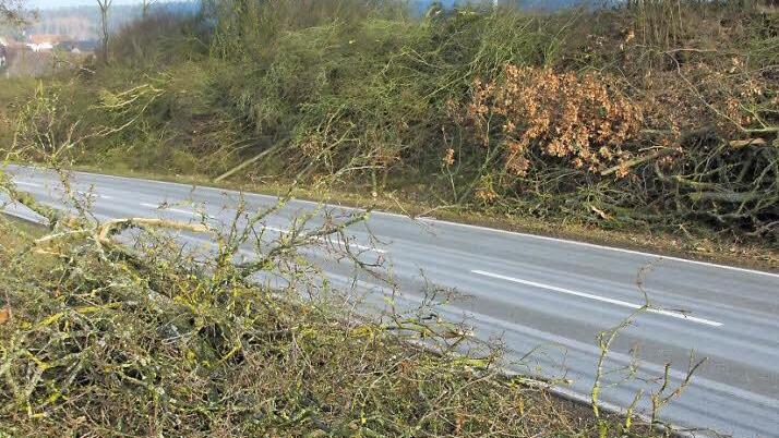 Kräftig zu- und eingeschlagen: Von der Hecke zu Hackschnitzeln wurden diese Äste gemacht. Foto: Ralf Kestel