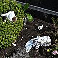 So sah es nach dem Treiben der Kinder letzte Woche auf Gräbern im Zapfendorfer Friedhof aus. Foto: Ronald Rinklef