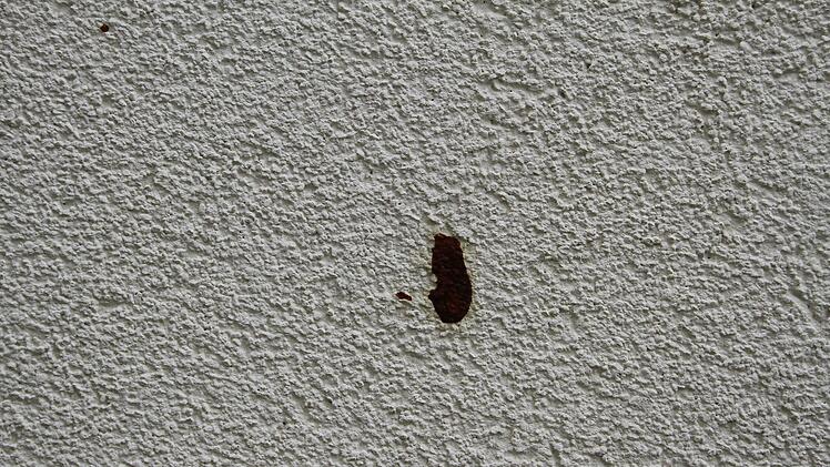 Karin Wolfrum möchte gar nicht nachdenken, um welche Art von Sprenkelung es sich an ihrer Garage handelt. Foto: Sonny Adam