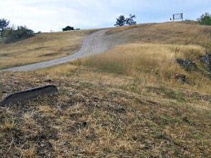 Die Trockenheit auf dem Jura war in den Jahren 2018/19 besonders stark ausgepr&auml;gt. Foto: Otto Arnold