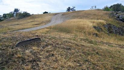 Die Trockenheit auf dem Jura war in den Jahren 2018/19 besonders stark ausgepr&auml;gt. Foto: Otto Arnold