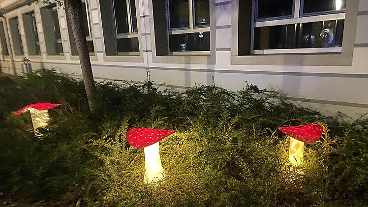Die Lichtinstallation "Pilze"privat