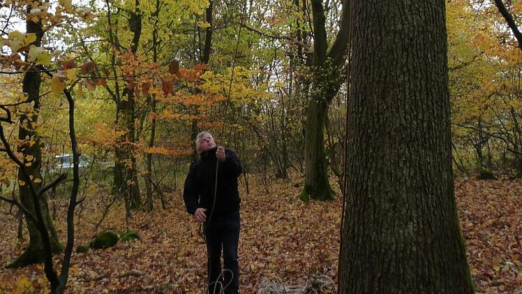 Bau eines Kunsthorstes im Stralsbacher Wald. Foto: Joachim Dahmer