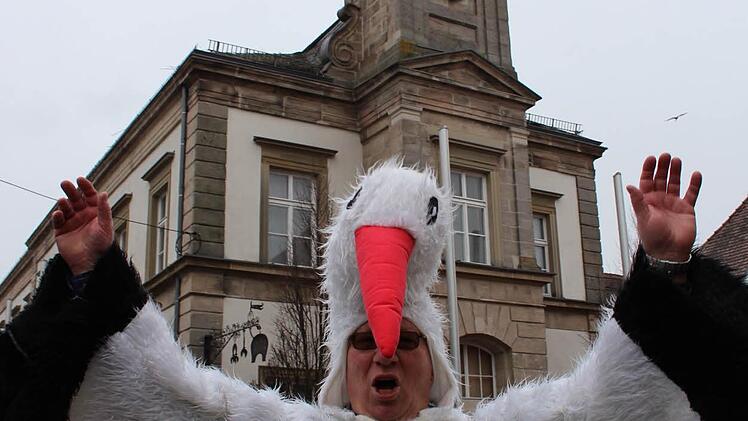 Der Faschingsumzug in Höchstadt war auch 2017 wieder sehr gut besucht. Foto: Christian Bauriedel