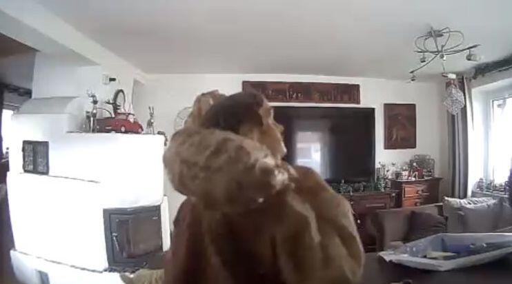 Krippenfigur vor Kamera