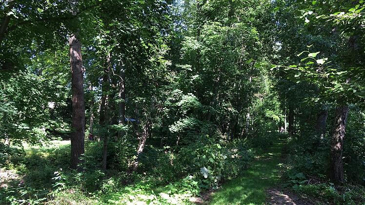 Der Trabelsdorfer Schlosspark hat viel zu bieten.Foto: Schreiber