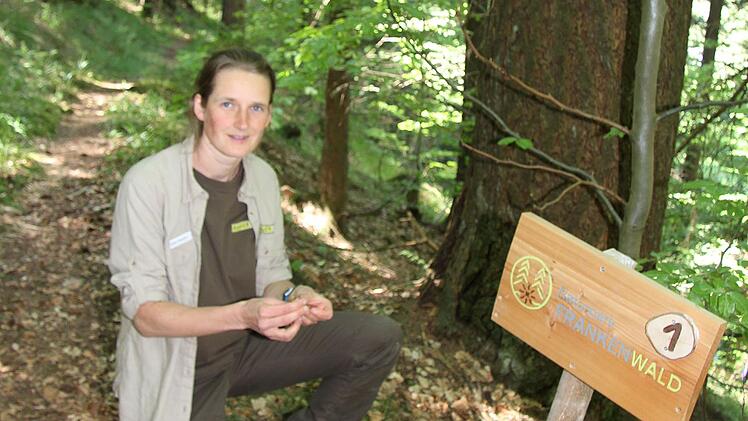 Naturpark-Rangerin Ines Gareis bei der Wald-Rallye. An zehn Stationen mussten die gro&szlig;en und kleinen Besucher jede Menge Wissenswertes &uuml;ber B&auml;ume, Bl&auml;tter, Waldbewohner, Pilze und Tiere herausfinden.