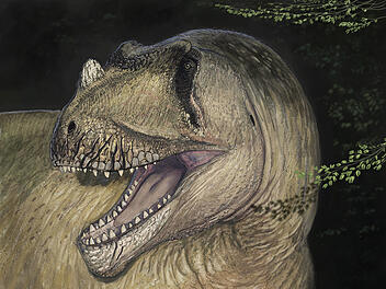 Münchner Paläontologen entdecken unbekannte Dinosaurier-Art
