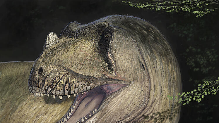 Münchner Paläontologen entdecken unbekannte Dinosaurier-Art