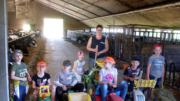 Schlussrunde im Kuhstall von Anja Wagenbrenner: Mit Traktor und Schubkarre wurden die Kühe mit frischem Futter versorgt. Foto: Klaus Scheuring