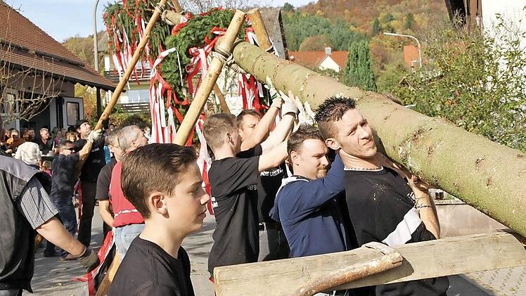 Kräftige helfer hieven den Kirchweihbaum in Rettern in die Höhe. Foto: erl