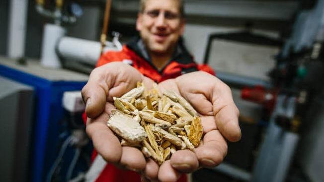 Michael Bohl heizt mit groben Holzspänen. Dadurch ist er unabhängig von schwankenden Öl- und Gaspreisen.  Foto: Hendrik Steffens