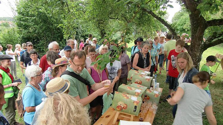 Das Thema Öko-Modellregion stieß bei den Bürgern auf großes Interesse, wie unter anderem unser Foto vom Öko-Wanderspaß in Wasserlosen mit über 100 Teilnehmern beweist.  Foto: Stefan Geiger