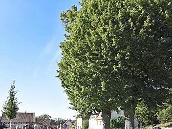 Den neu gestalteten Friedhof in Römershofen besichtigte der Umwelt- und Bauausschuss der Stadt Königsberg. Fotos: Gerold Snater