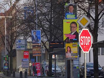 Im Dschungel der Coburger Wahlplakate - hier ein Blick in die Hindenburgstraße.Foto: Jochen Berger
