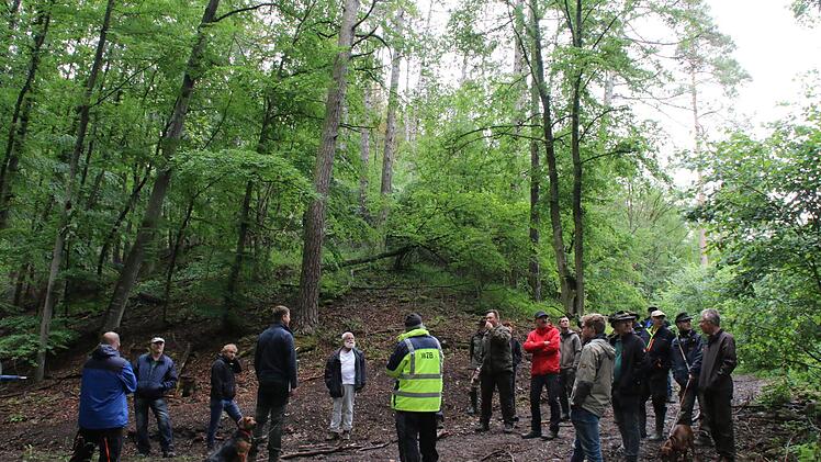 Waldbegang in Sulzthal Foto: Hilmar Ruppert