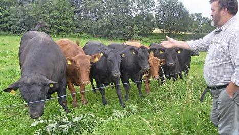Anton Prechtl ging auf neue Wege in der Rinderzucht ein. Foto: K.-H. Hofmann