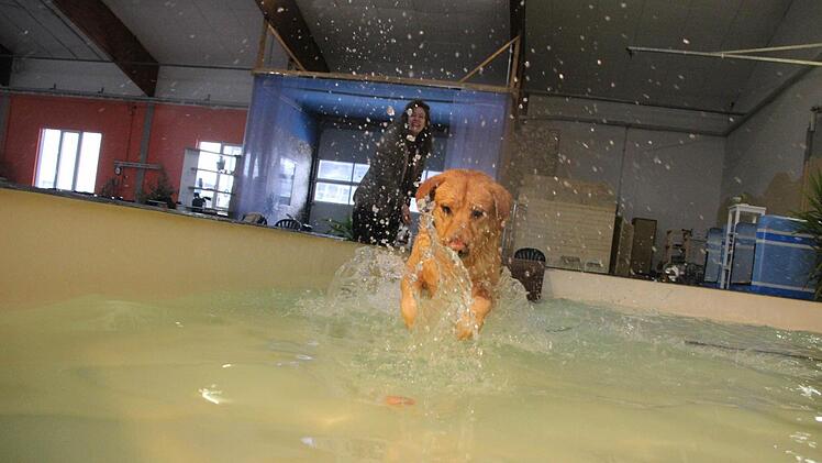 Sam hat sichtlich Spaß im Wasser.  Foto: Diana Fuchs