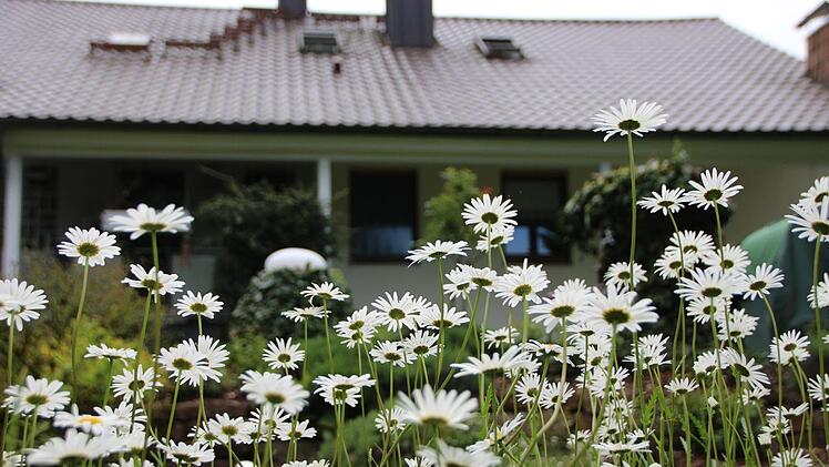 Eindrücke aus dem Garten von Susi Vorndran. Foto: Benedikt Borst