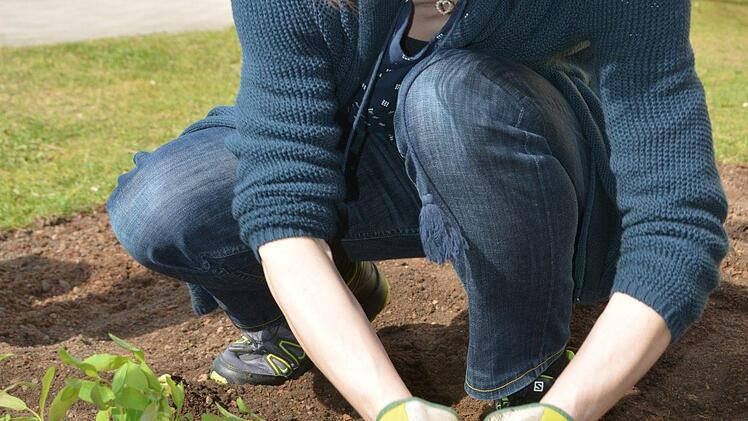 Beerenbeet: Pflanztag mit dem Gartenbauverein Melkendorf Foto: Dagmar Besand