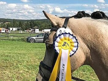 "Poney Champ"  Foto: Werner Reißaus