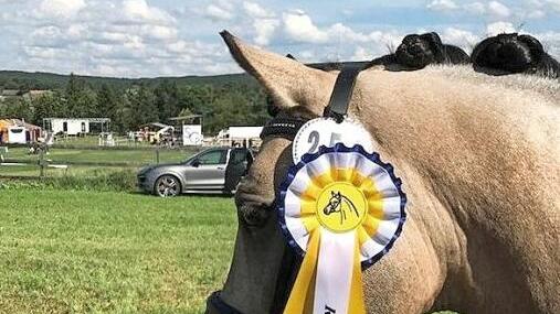 "Poney Champ"  Foto: Werner Reißaus