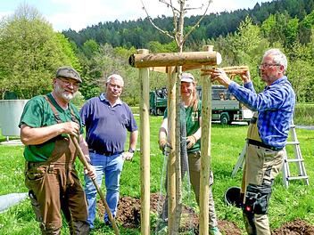 Bürgermeister Herwig Neumann (Zweiter von links) informierte sich bei (von rechts) Rüdiger van Plüren, Jo Tröster und Hans Peter Wagner (Firma Ramming und Tröster) über die Pflanzaktion.