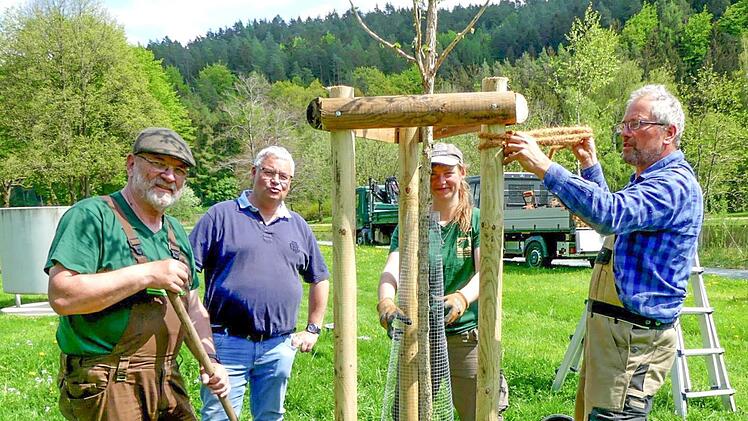 Bürgermeister Herwig Neumann (Zweiter von links) informierte sich bei (von rechts) Rüdiger van Plüren, Jo Tröster und Hans Peter Wagner (Firma Ramming und Tröster) über die Pflanzaktion.