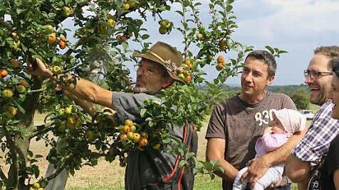 Baumwart Roger Beuchert erklärt Unterschied zwischen Sommer- und Winterschnitt. Foto: Johanna Blum