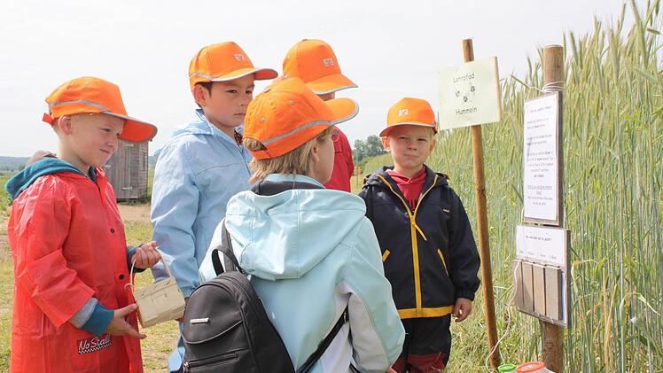 Die Kinder am Hummellehrpfad. Die Brummer werden als Befruchtungshelfer eingesetzt.