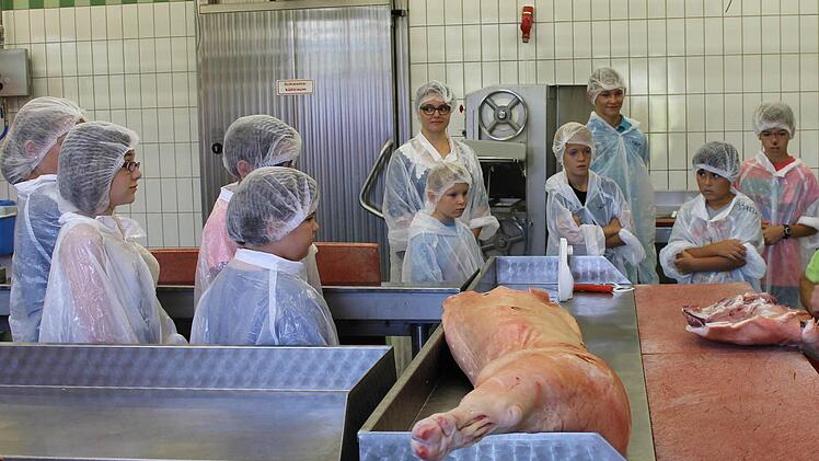 Zunächst bekamen die Kids gezeigt, wie man ein Schwein zerlegt, um an das Fleisch zu kommen, das später in die Bratwürste kommt.  Foto: Janina Reuter