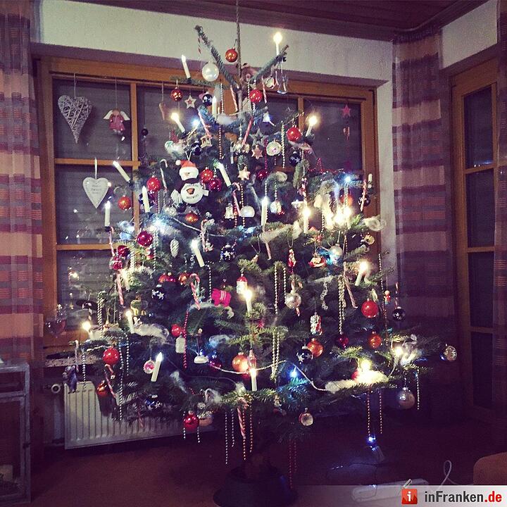 Weihnachten in Franken: Die Christbäume unserer Leser