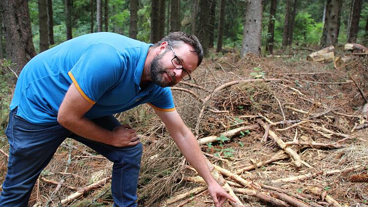 Die Reisigmatten bieten dem Borkenk&auml;fer kein geeignetes Nistmaterial, da die Rinde zerst&ouml;rt ist.Foto: Johannes Schlereth