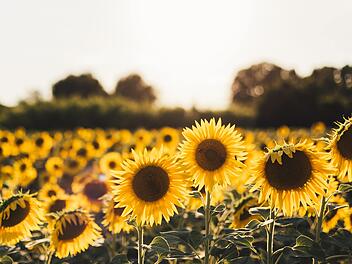 Die letzten Tage des Spätsommers? So wird das Wetter am Wochenende.