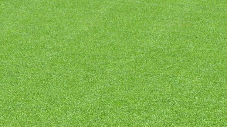 Foto: dpa