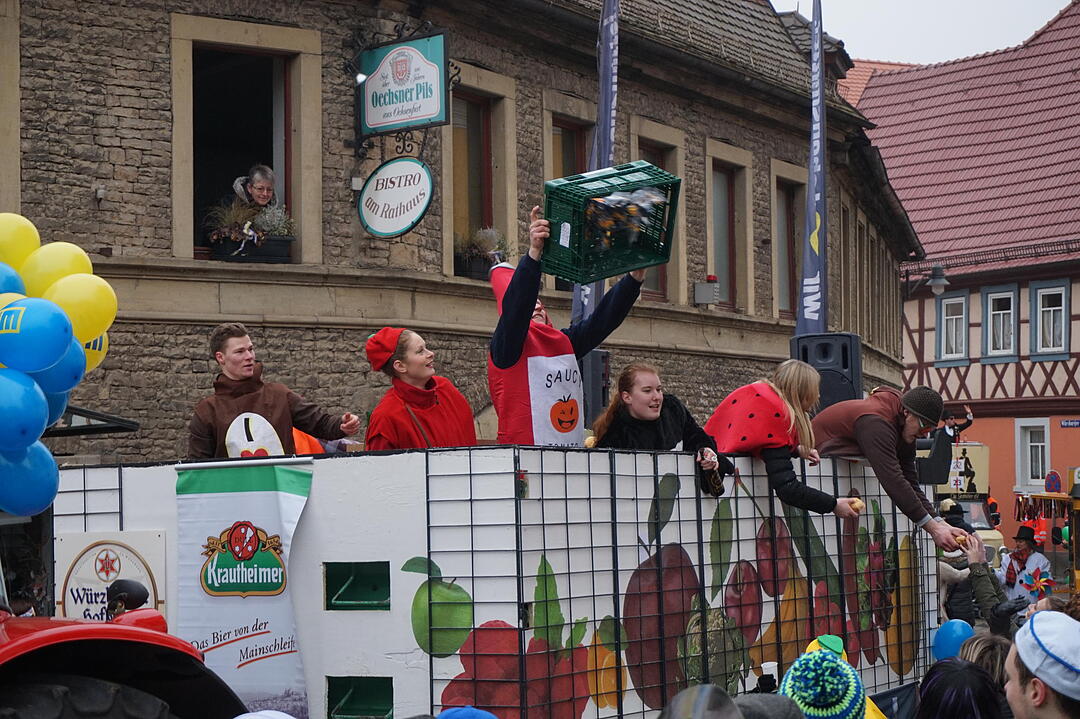 Landkreisfaschingszug 2015