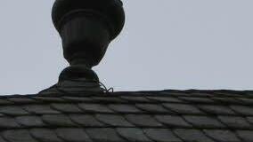 Burgwindheims Wappentier grüßt vom Dach