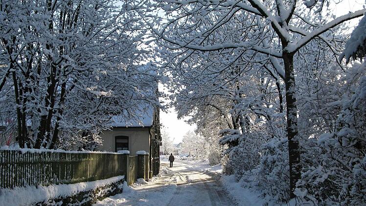 Für das Schattenspiel entlang der Baum- und Buschreihe in Zeil empfiehlt es sich, keinen Blitz zu verwenden.  Foto: Martin Schlegelmilch