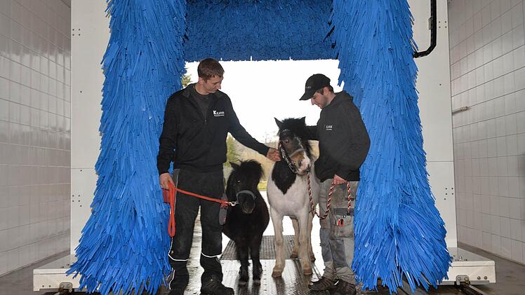 Timo Kilian (links) mit Wasch-Profi "Siggi", vierbeiniger Kundschaft und einem  seiner Mitarbeiter Foto: Ronald Rinklef