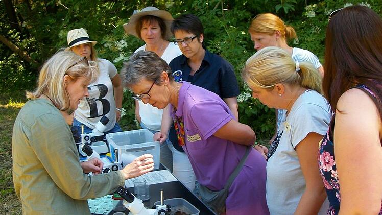 20 Wasser-Kitas gibt es in Unterfranken. Pädagogische Fachkräfte haben eine Fortbildung im Schullandheim Bauersberg absolviert. Foto: Marion Eckert