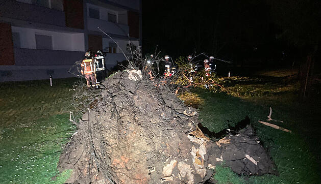 Zahlreiche Einsätze durch Unwetter in Franken: Umgestürzte Bäume fordern Feuerwehr