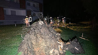Zahlreiche Einsätze durch Unwetter in Franken: Umgestürzte Bäume fordern Feuerwehr
