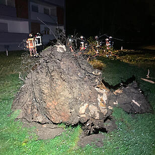 Zahlreiche Einsätze durch Unwetter in Franken: Umgestürzte Bäume fordern Feuerwehr