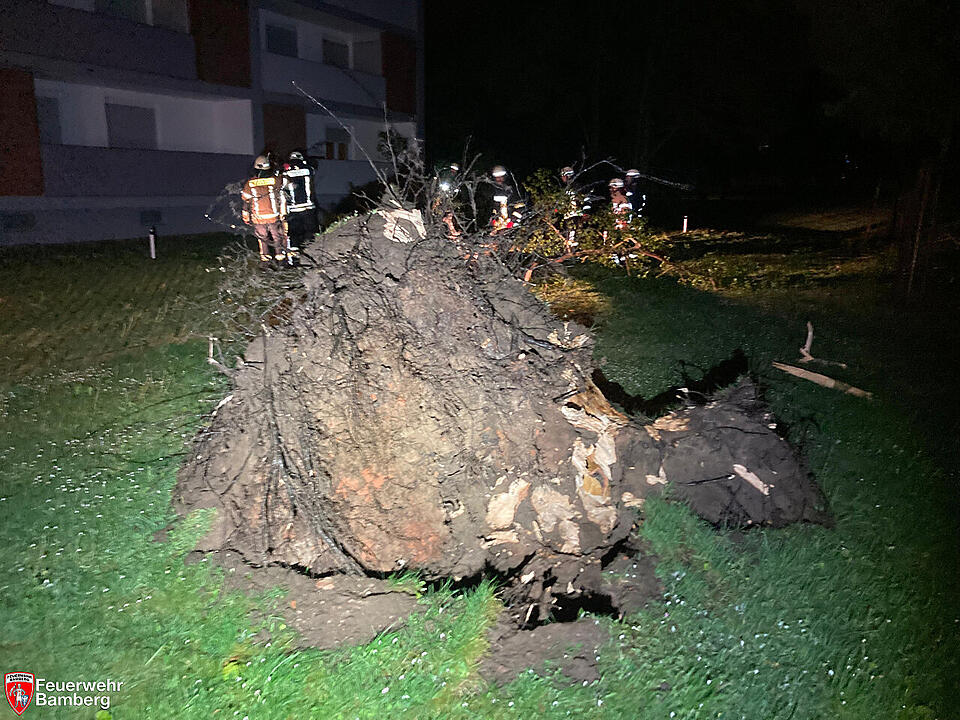Zahlreiche Einsätze durch Unwetter in Franken: Umgestürzte Bäume fordern Feuerwehr Zahlreiche Einsätze durch Unwetter in Franken: Umgestürzte Bäume fordern Feuerwehr