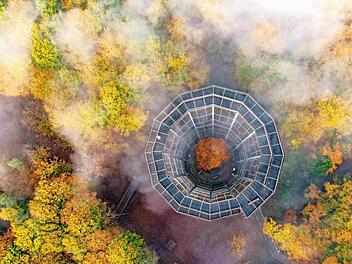 Rund um den Baumwipfelpfad findet der Markt wieder statt.